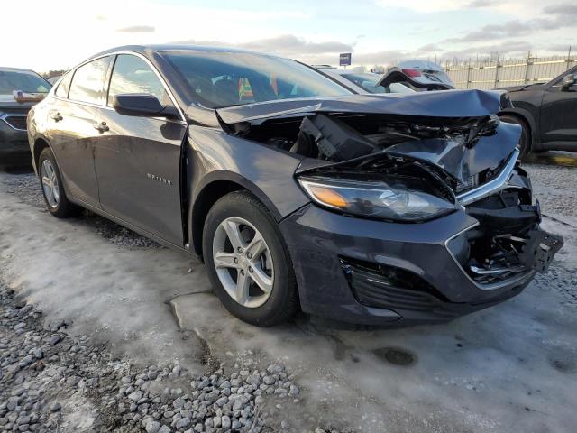 1G1ZC5ST7SF116999 - 2025 CHEVROLET MALIBU LS BLUE photo 4