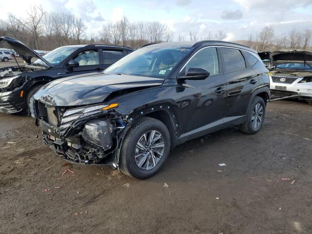 2024 HYUNDAI TUCSON BLUE, null