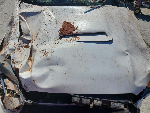 JTEBU5JR9F5206853 - 2015 TOYOTA 4RUNNER SR5/SR5 PREMIUM 白色 照片 12