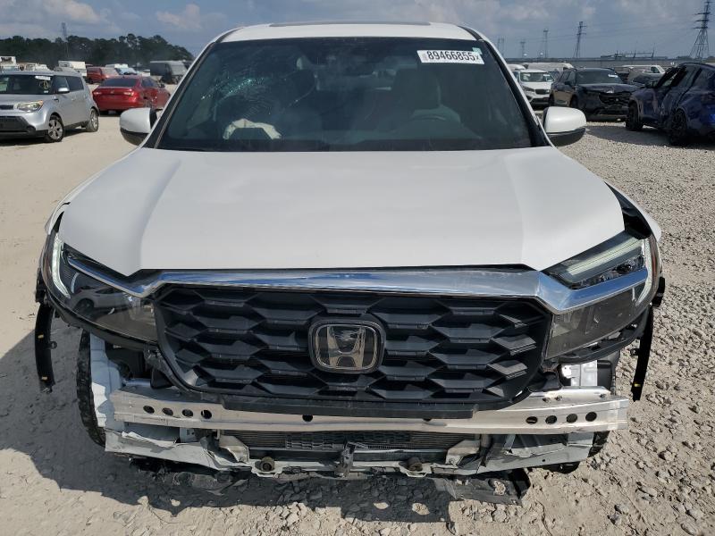 5FNYF8H55SB011791 - 2025 HONDA PASSPORT EXL Blanc photo 5