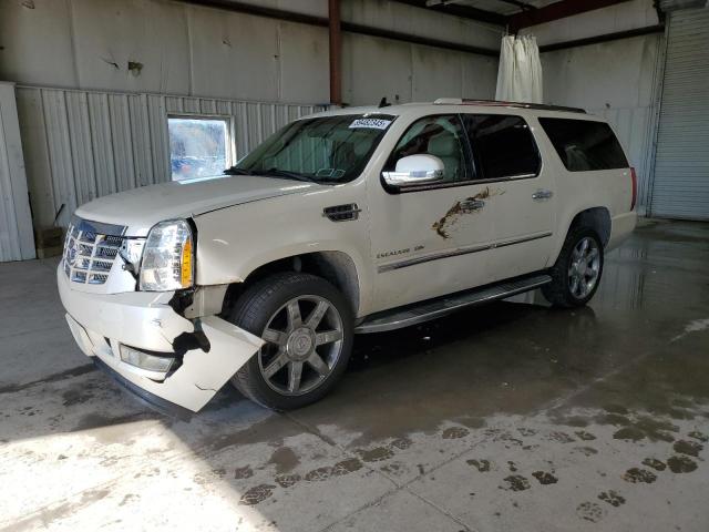 2011 CADILLAC ESCALADE ESV LUXURY, 
