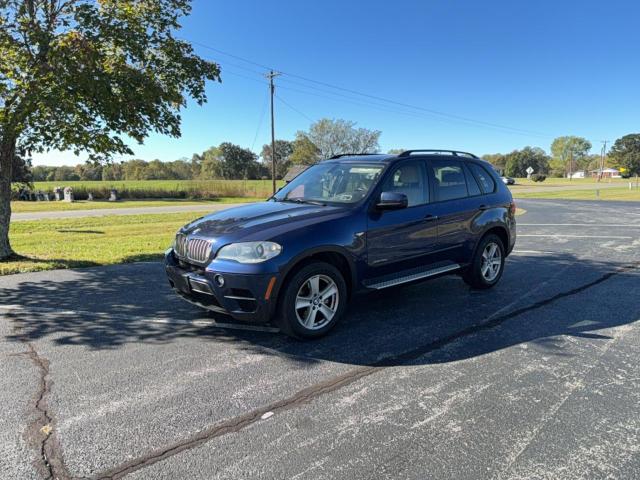 5UXZW0C54CL669466 - 2012 BMW X5 XDRIVE35D BLUE photo 2