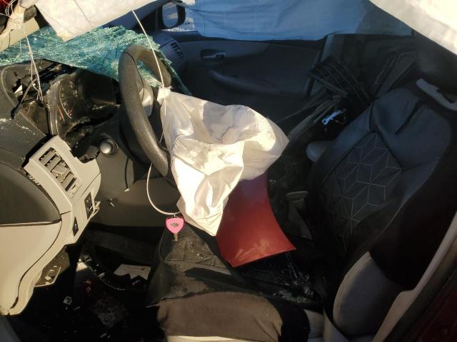 2T1BU4EE7BC592658 - 2011 TOYOTA COROLLA BASE RED photo 7