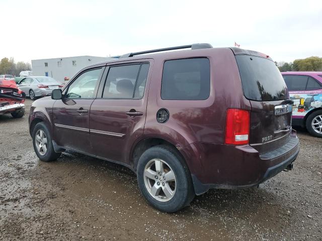 5FNYF48459B500573 - 2009 HONDA PILOT EX BURGUNDY photo 2