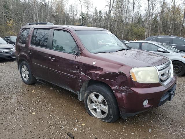 5FNYF48459B500573 - 2009 HONDA PILOT EX BURGUNDY photo 4