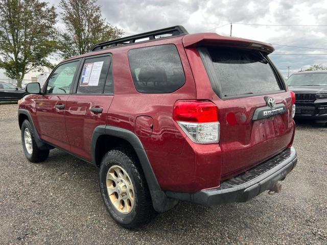 JTEBU5JR7A5023301 - 2010 TOYOTA 4RUNNER SR5 Burgund zdjęcie 3