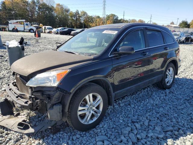 2010 HONDA CR-V EXL, 