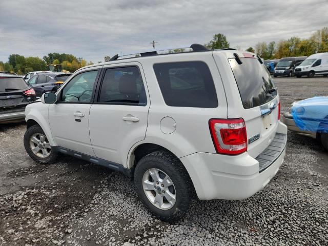 1FMCU9E77CKA58879 - 2012 FORD ESCAPE LIMITED თეთრი ფოტო 2