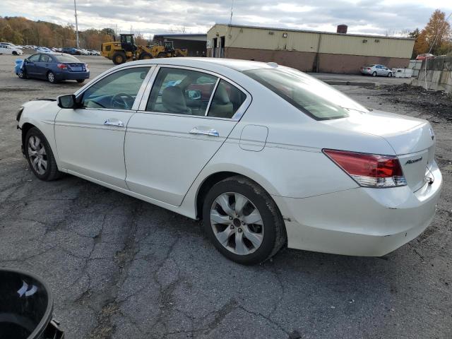 5KBCP3F89AB014829 - 2010 HONDA ACCORD EXL WHITE photo 2