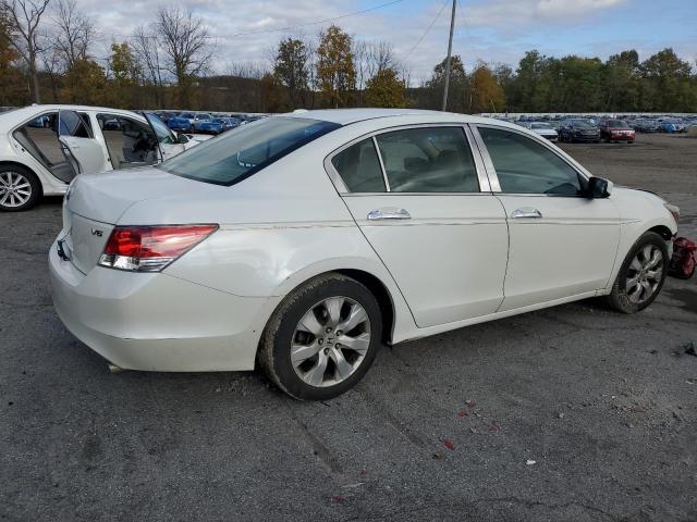 5KBCP3F89AB014829 - 2010 HONDA ACCORD EXL WHITE photo 3