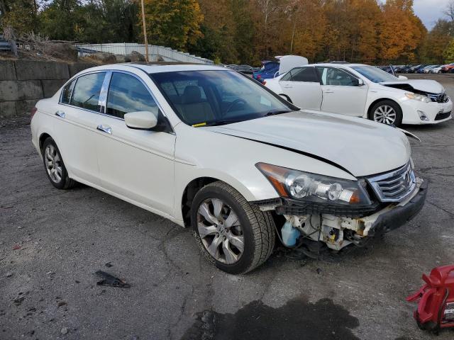 5KBCP3F89AB014829 - 2010 HONDA ACCORD EXL WHITE photo 4