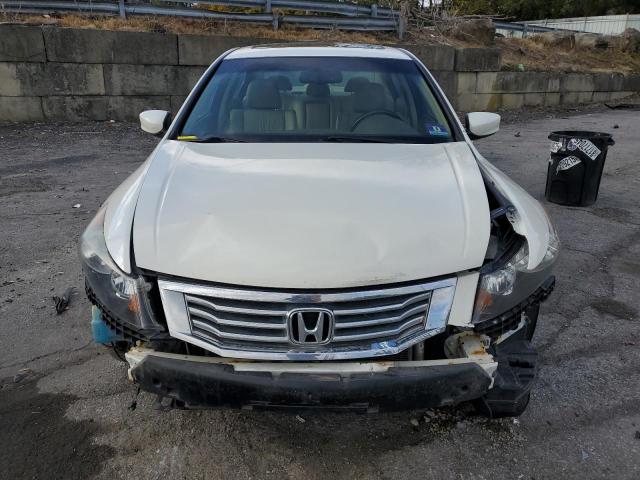 5KBCP3F89AB014829 - 2010 HONDA ACCORD EXL WHITE photo 5