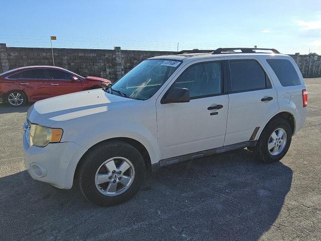 2010 FORD ESCAPE XLT, 