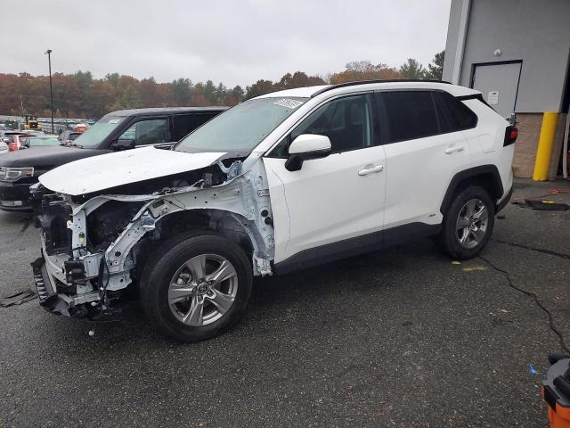 2025 TOYOTA RAV4 XLE, 