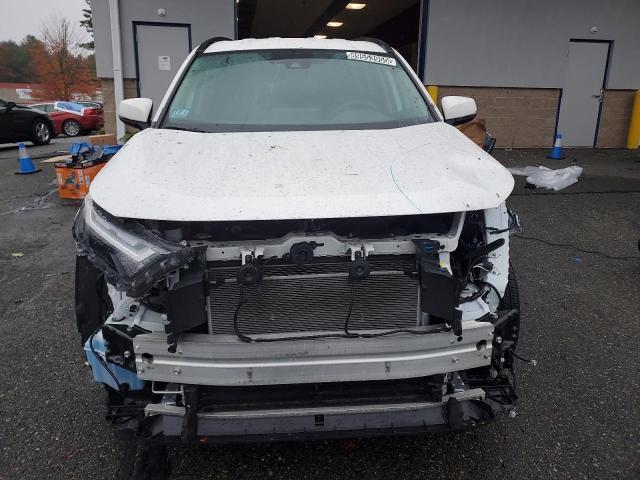 2T3RWRFV6SW266733 - 2025 TOYOTA RAV4 XLE 白色 照片 5
