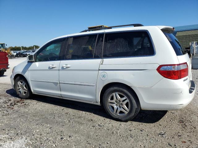 5FNRL38747B122678 - 2007 HONDA ODYSSEY EXL WHITE photo 2
