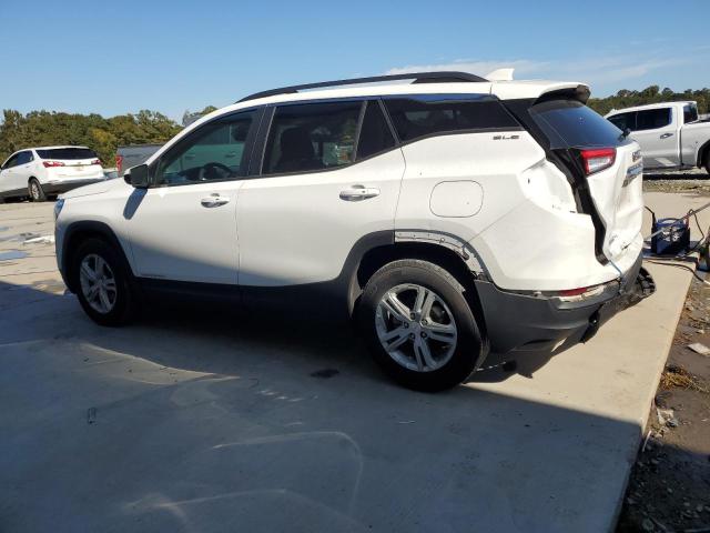 3GKALMEG4RL266117 - 2024 GMC TERRAIN SLE WHITE photo 2