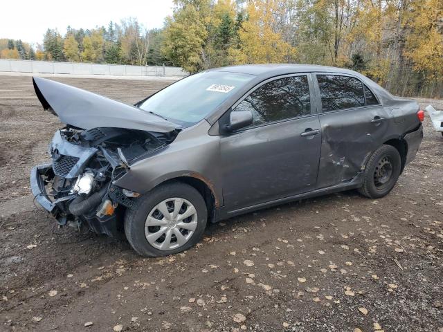 2010 TOYOTA COROLLA BASE, 