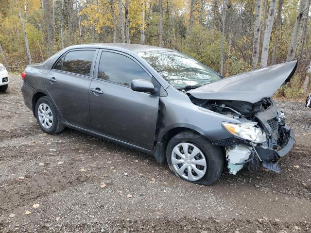 2T1BU4EE9AC246965 - 2010 TOYOTA COROLLA BASE ნაცრისფერი ფოტო 4