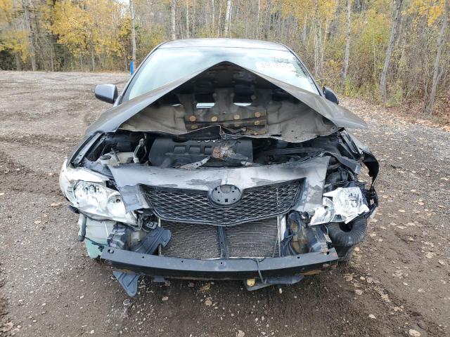 2T1BU4EE9AC246965 - 2010 TOYOTA COROLLA BASE ნაცრისფერი ფოტო 5