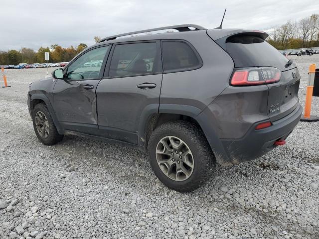 1C4PJMBX5LD522407 - 2020 JEEP CHEROKEE TRAILHAWK GRAY photo 2