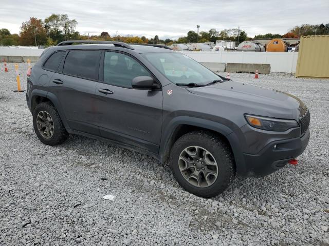 1C4PJMBX5LD522407 - 2020 JEEP CHEROKEE TRAILHAWK GRAY photo 4
