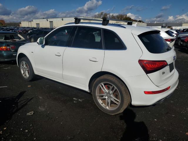 WA1DGAFP6EA011104 - 2014 AUDI Q5 PREMIUM PLUS WHITE photo 2