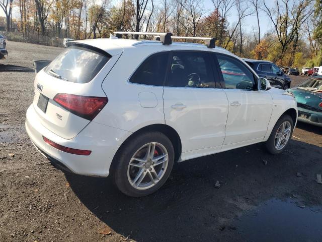 WA1DGAFP6EA011104 - 2014 AUDI Q5 PREMIUM PLUS WHITE photo 3