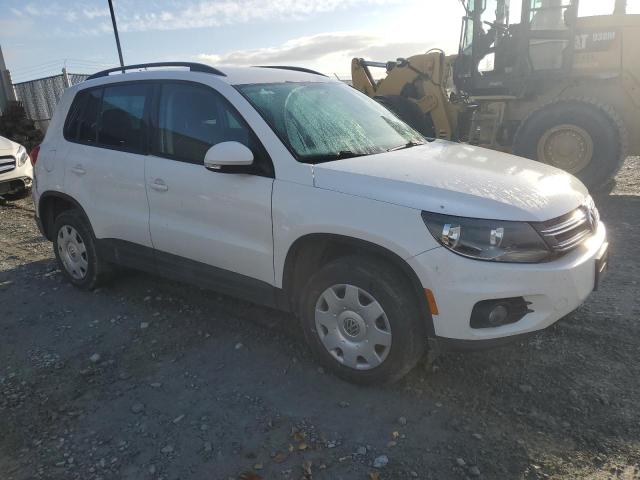 WVGJV3AX0EW505510 - 2014 VOLKSWAGEN TIGUAN S WHITE photo 4