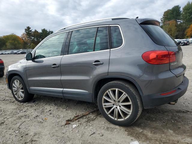 WVGBV3AX1DW581272 - 2013 VOLKSWAGEN TIGUAN S GRAY photo 2