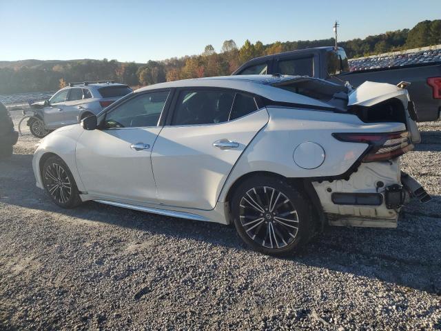 1N4AA6AV2KC365236 - 2019 NISSAN MAXIMA S Ağ foto 2