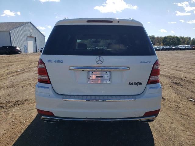4JGBF7BB8AA533235 - 2010 MERCEDES-BENZ GL 450 4MATIC WHITE photo 6