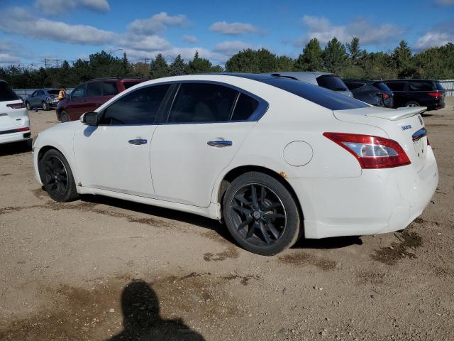 1N4AA5AP3BC831798 - 2011 NISSAN MAXIMA S თეთრი ფოტო 2