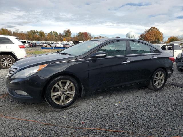 2013 HYUNDAI SONATA SE, 