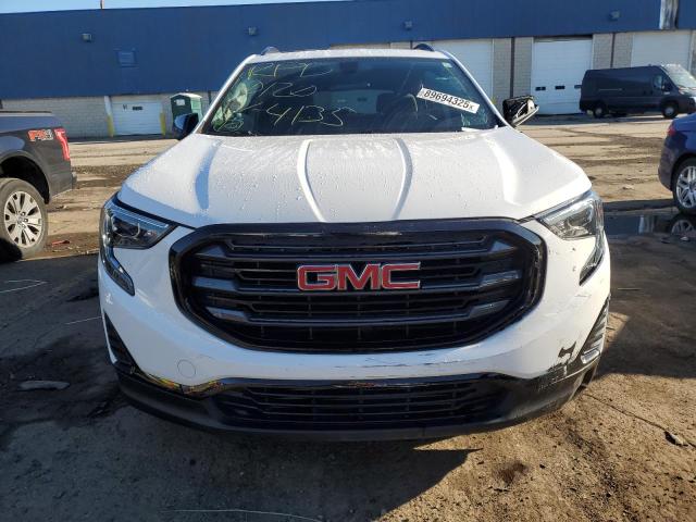 3GKALTEV5KL294135 - 2019 GMC TERRAIN SLE 白色 照片 5