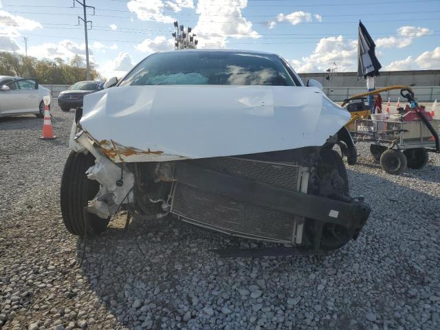 3KPF24AD9KE008220 - 2019 KIA FORTE FE Ақ фото 5