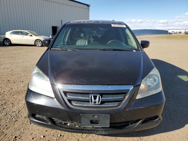 5FNRL38647B503051 - 2007 HONDA ODYSSEY EXL BLACK photo 5