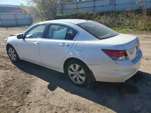 1HGCP3F86AA008737 - 2010 HONDA ACCORD EXL WHITE photo 2