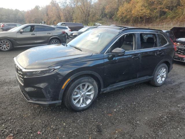 2024 HONDA CR-V EXL, 