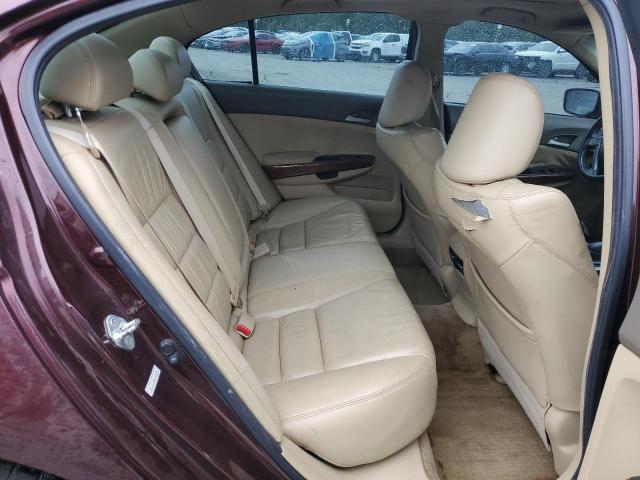 5KBCP3F81AB006949 - 2010 HONDA ACCORD EXL BURGUNDY photo 10