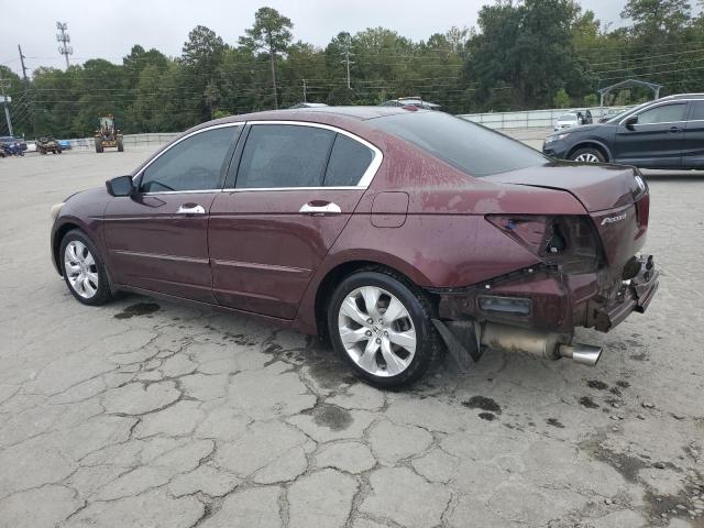 5KBCP3F81AB006949 - 2010 HONDA ACCORD EXL BURGUNDY photo 2