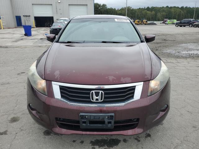 5KBCP3F81AB006949 - 2010 HONDA ACCORD EXL BURGUNDY photo 5