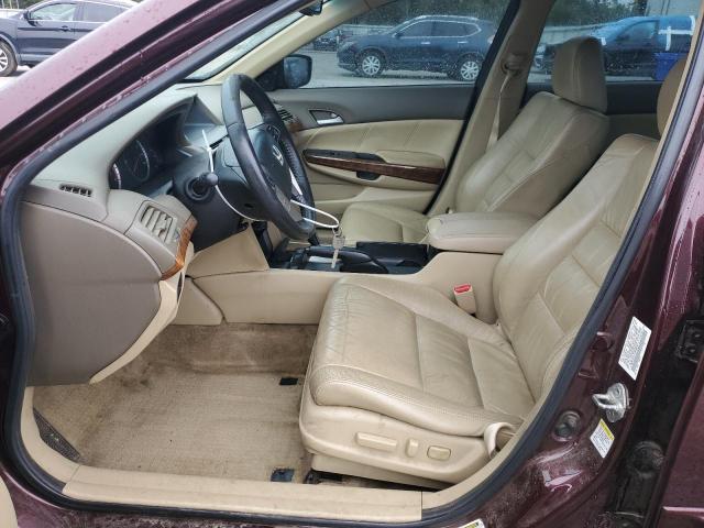 5KBCP3F81AB006949 - 2010 HONDA ACCORD EXL BURGUNDY photo 7