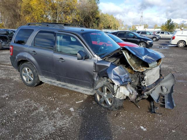 1FMCU9DG9AKD35109 - 2010 FORD ESCAPE XLT GRAY photo 4