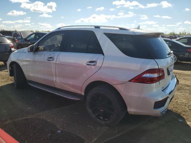 4JGDA5HB2DA215814 - 2013 MERCEDES-BENZ ML 350 4MATIC WHITE photo 2