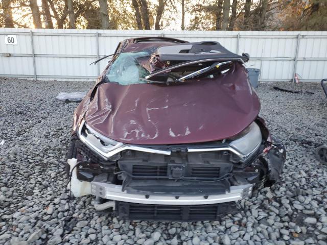 7FARW1H87KE035195 - 2019 HONDA CR-V EXL ბურგუნდია ფოტო 5