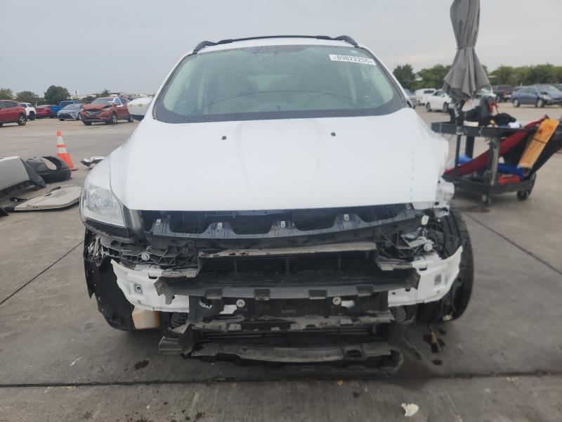 1FMCU9G91DUD40164 - 2013 FORD ESCAPE SE 白色 照片 5