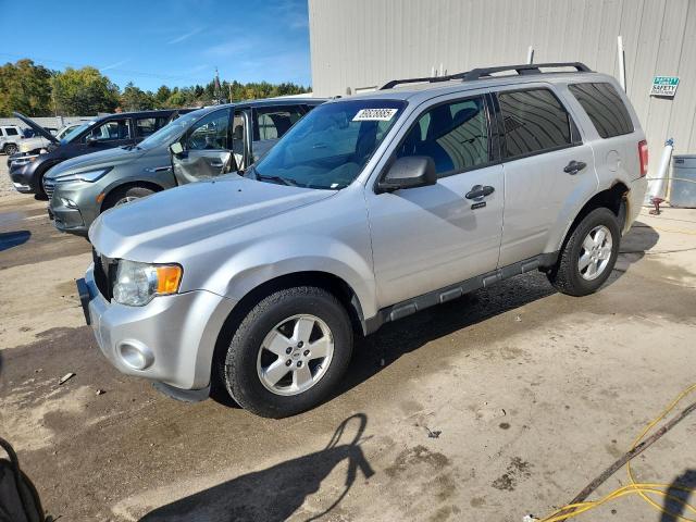 2011 FORD ESCAPE XLT, 