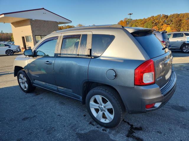 1J4NF1FB1BD279550 - 2011 JEEP COMPASS SPORT Silber Foto 2