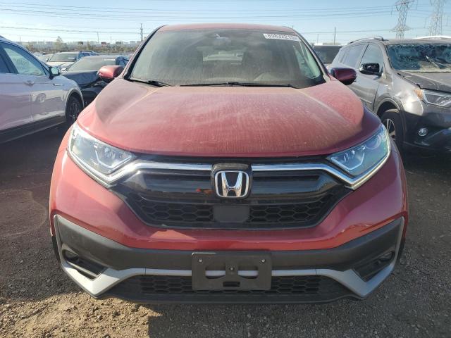 7FARW2H80ME019008 - 2021 HONDA CR-V EXL 红色 照片 5